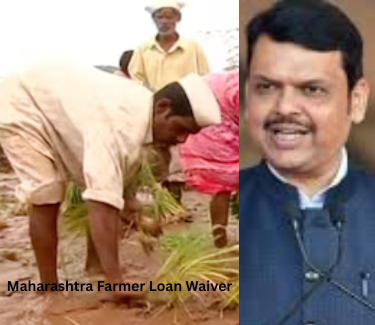 Farmer Loan Waiver: महाराष्ट्र में कर्जमाफी का फैसला, दो लाख रुपये तक के कृषि ऋण होंगे माफ, 56 लाख किसानों को मिलेगी कर्ज से मुक्ति