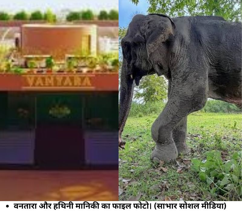 MANIKI: पीड़ा से मुक्ति, 48 साल की मानिकी को मिलेगा नया जीवन