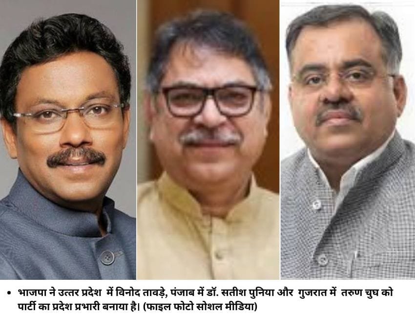 भाजपा ने उत्तर प्रदेश में विनोद तावड़े, पंजाब में डॉ. सतीश पुनिया और गुजरात में तरुण चुघ को पार्टी का प्रदेश प्रभारी बनाया है। (फाइल फोटो सोशल मीडिया)