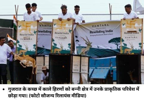 गुजरात के कच्‍छ में काले हिरणों को बन्‍नी क्षेत्र में उनके प्राकृतिक परिवेश में छोड़ा गया। (फोटो सौजन्‍य रिलायंस मीडिया)