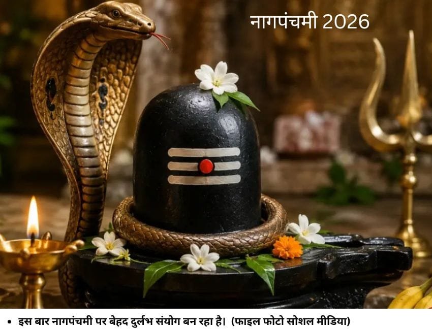 इस बार नागपंचमी पर बेहद दुर्लभ संयोग बन रहा है। (फाइल फोटो सोशल मीडिया)