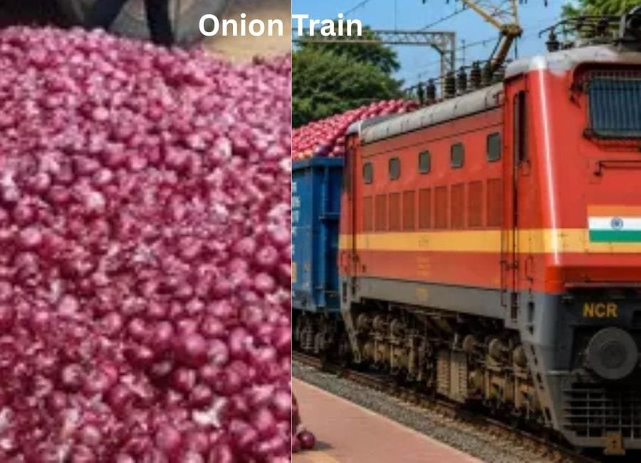 देश में प्याज की कीमत को नियंत्रित करने के लिए सरकार बाजार में बफर स्टॉक उतार रही है। विशेष ट्रेन कांदा एक्सप्रेस से पांच केंद्रों पर प्याज भेजा गया है। (फाइल फोटो साेशल मीडिया)