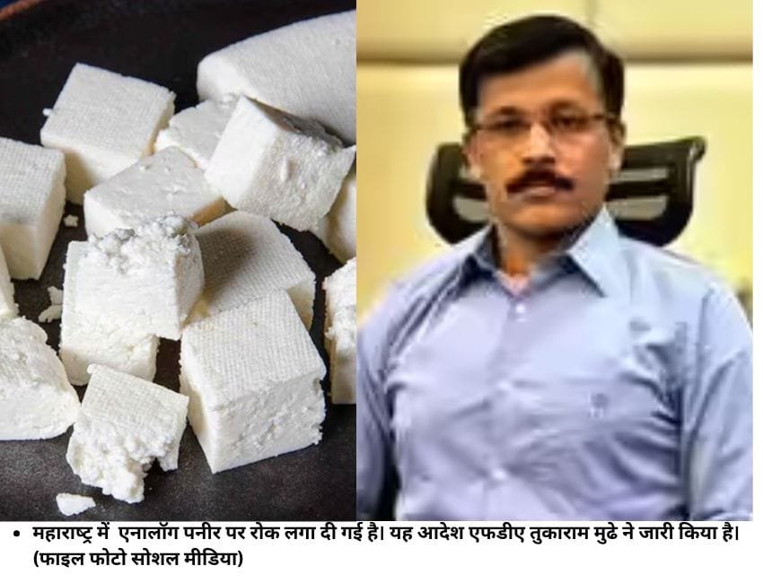 महाराष्ट्र में एनालॉग पनीर पर रोक लगा दी गई है। यह आदेश एफडीए तुकाराम मुढे ने जारी किया है। (फाइल फोटो सोशल मीडिया)