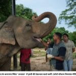 गुजरात के जामनगर स्थित ' वनतारा' में हाथी की देखभाल करते कर्मी। (फोटो सौजन्य रिलायंस मीडिया )