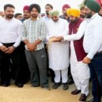 Punjab Paddy procurement: पंजाब के मुख्‍यमंत्री भगवंत मान ने राजपुरा मंडी में धान की खरीद का जायजा लिया। (फोटो सौजन्‍य डीपीआरओ)