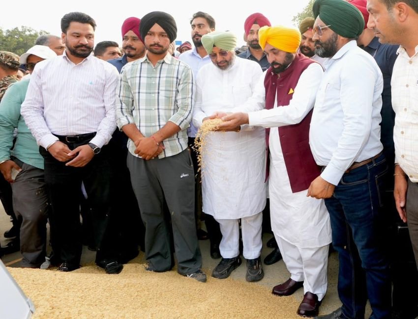 Punjab Paddy procurement: पंजाब के मुख्यमंत्री भगवंत मान ने राजपुरा मंडी में धान की खरीद का जायजा लिया। (फोटो सौजन्य डीपीआरओ)